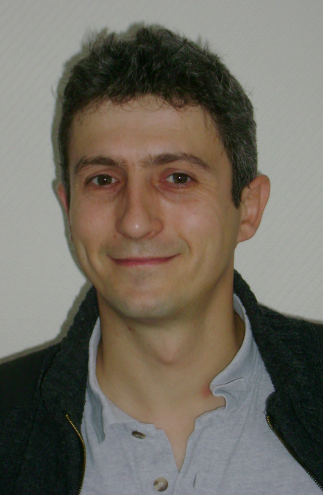 Head of the team Dynamic Systems and Optimization of the LARIS